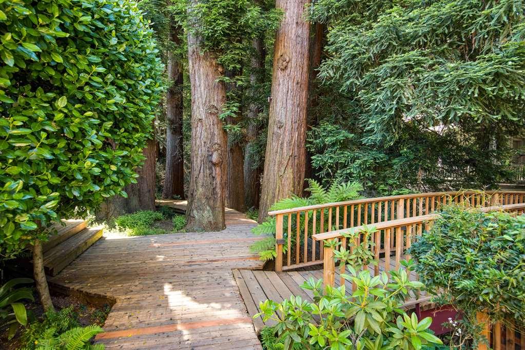 Mill Valley Inn Exteriér fotografie